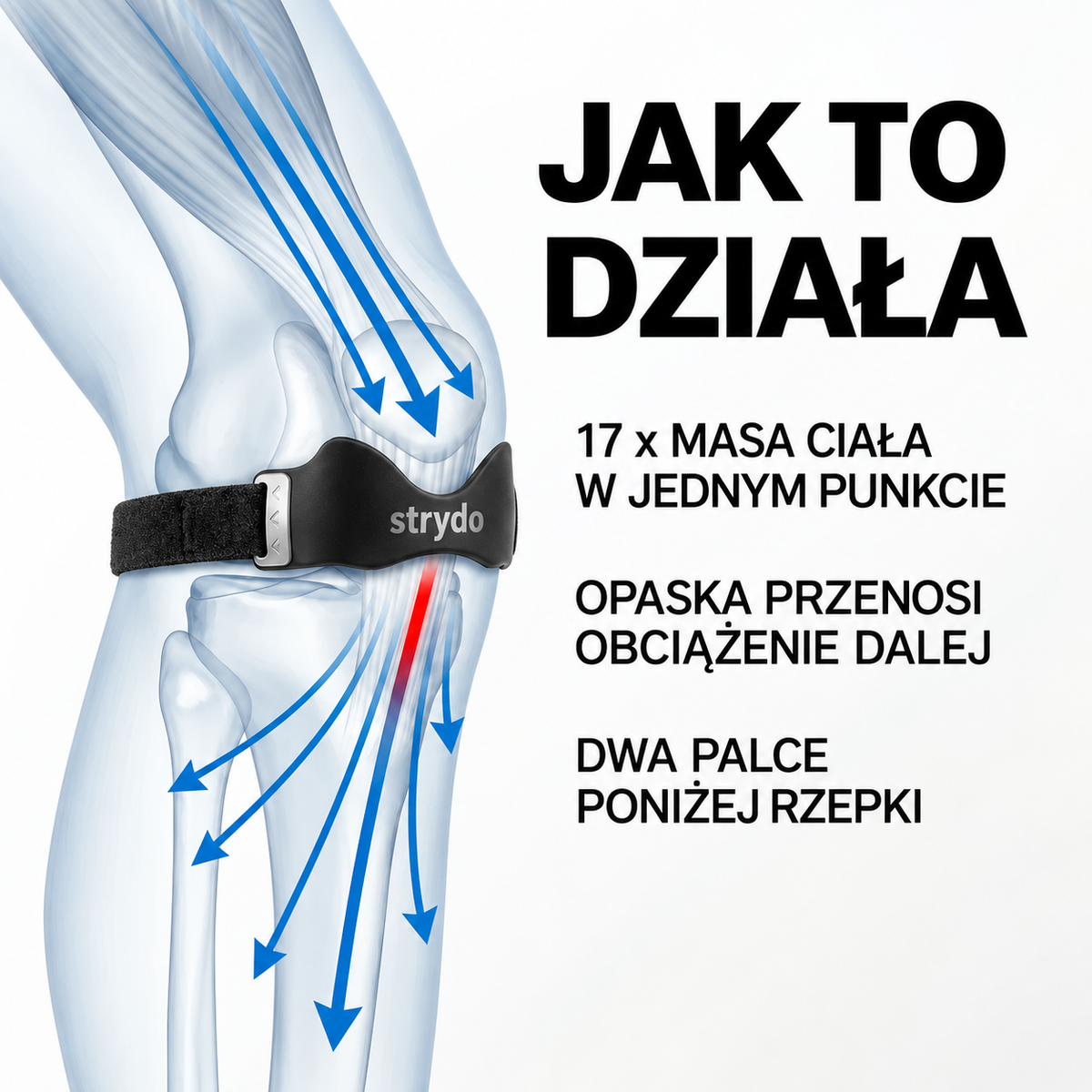 Strydo - Opaska Stabilizująca Rzepkę Kolanową